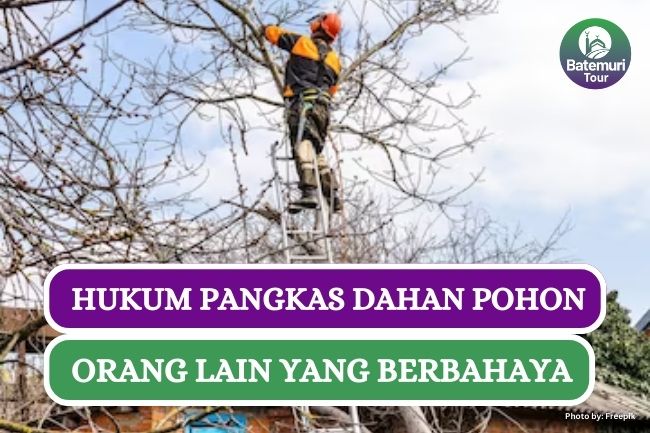 Begini Hukum Pangkas Dahan Pohon Orang Lain yang Membahayakan